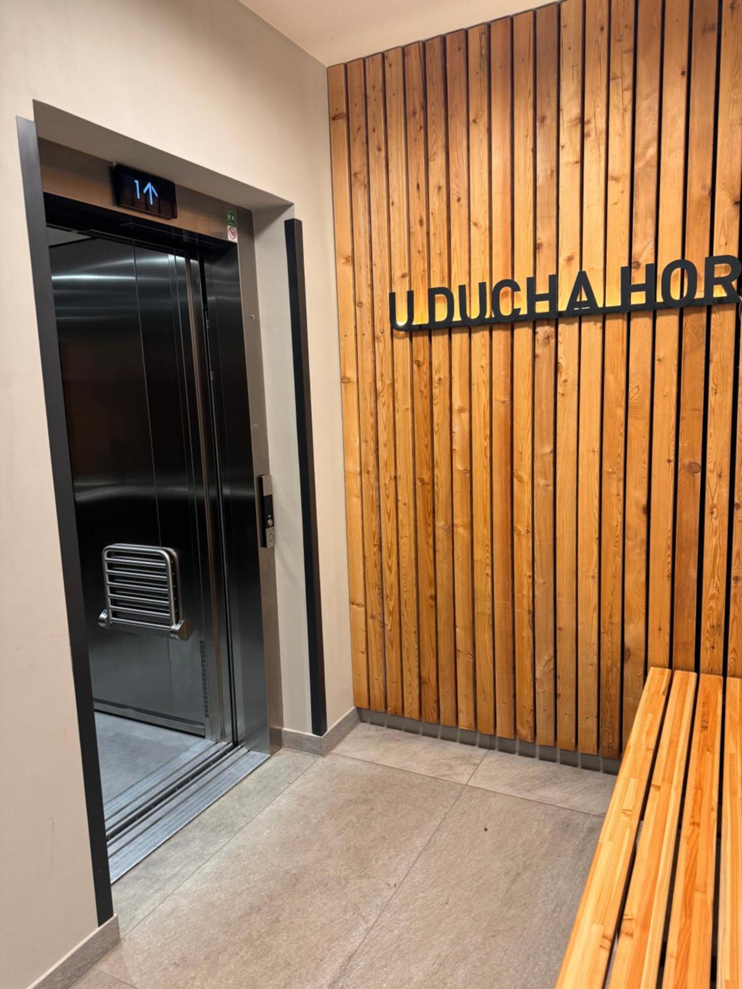 Luxusni Apartman Grand V Centru Harrachova Se Soukromou Mega Terasou, S Privatnim Parkovanim Zdarma, S Moznosti Dobijeni Wallbox Ev A Vyhledem Na Harrachovsky Kostelicek Bagian luar foto